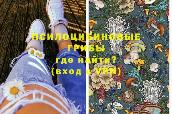2c-b Костерёво