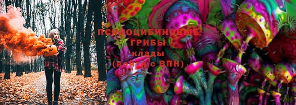 молекула духа Коряжма