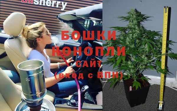 молекула духа Коряжма